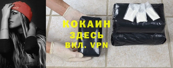 дживик Балахна