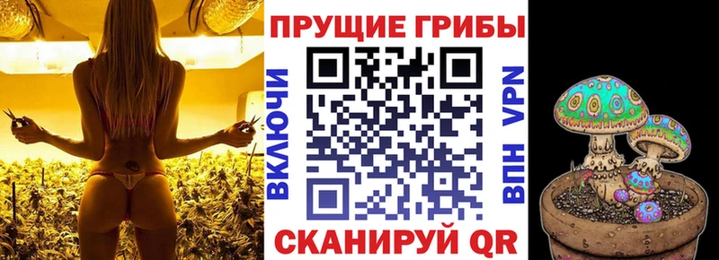 Галлюциногенные грибы прущие грибы  Снежногорск 